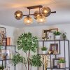 Ripoll Plafondlamp, Kogellampje Amber, Duidelijk, Rookkleurig, 5-lichts