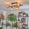Ripoll Plafondlamp, Kogellampje Amber, Duidelijk, Rookkleurig, 5-lichts