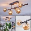 Chehalis Plafondlamp, Kogellampje Amber, 5-lichts
