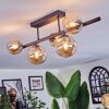 Chehalis Plafondlamp, Kogellampje Amber, 5-lichts