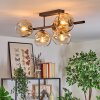 Ripoll Plafondlamp, Kogellampje Amber, Duidelijk, 5-lichts