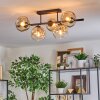 Ripoll Plafondlamp, Kogellampje Amber, Duidelijk, 5-lichts