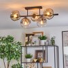 Ripoll Plafondlamp, Kogellampje Amber, Duidelijk, Rookkleurig, 5-lichts
