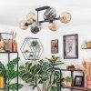 Ripoll Plafondlamp, Kogellampje Amber, Rookkleurig, 8-lichts