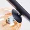 Chehalis Plafondlamp, Kogellampje Amber, Duidelijk, Rookkleurig, 5-lichts