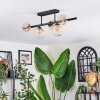 Chehalis Plafondlamp, Kogellampje Amber, Duidelijk, 5-lichts