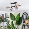 Chehalis Plafondlamp, Kogellampje Amber, Duidelijk, Rookkleurig, 5-lichts