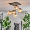 Ripoll Plafondlamp, Kogellampje Amber, Duidelijk, Rookkleurig, 5-lichts