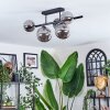 Chehalis Plafondlamp, Kogellampje Rookkleurig, 5-lichts