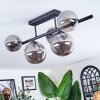 Chehalis Plafondlamp, Kogellampje Rookkleurig, 5-lichts