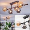 Chehalis Plafondlamp, Kogellampje Amber, Rookkleurig, 5-lichts