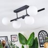 Chehalis Plafondlamp, Kogellampje Wit, 5-lichts