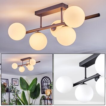 Chehalis Plafondlamp, Kogellampje Wit, 5-lichts