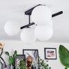 Chehalis Plafondlamp, Kogellampje Wit, 5-lichts