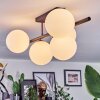 Chehalis Plafondlamp, Kogellampje Wit, 5-lichts