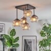 Ripoll Plafondlamp, Kogellampje Duidelijk, Rookkleurig, 5-lichts