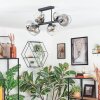 Koyoto Plafondlamp, Kogellampje Duidelijk, Rookkleurig, 6-lichts