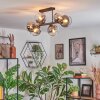 Koyoto Plafondlamp, Kogellampje Duidelijk, Rookkleurig, 6-lichts