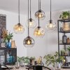 Ripoll Hanglamp, Kogellampje, Hanglamp Amber, Duidelijk, Rookkleurig, 6-lichts