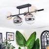 Chehalis Plafondlamp, Kogellampje Zwart, 5-lichts