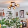 Koyoto Plafondlamp, Kogellampje Amber, Duidelijk, Rookkleurig, 6-lichts