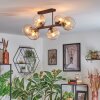Koyoto Plafondlamp, Kogellampje Amber, Duidelijk, 6-lichts