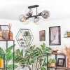 Koyoto Plafondlamp, Kogellampje Amber, Duidelijk, Rookkleurig, 6-lichts