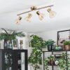 Saire Plafondlamp, Plafondspot Chroom, Messing, 4-lichts