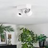 Narel Plafondlamp, Plafondspot LED Wit, 2-lichts