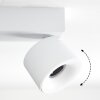 Narel Plafondlamp, Plafondspot LED Wit, 2-lichts