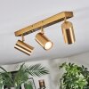 Javel Plafondlamp, Plafondspot Goud, 3-lichts