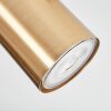 Javel Plafondlamp, Plafondspot Goud, 3-lichts