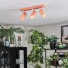 Javel Plafondlamp, Plafondspot Roze, Wit, 3-lichts