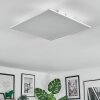 Orain Plafondlamp, Paneel LED Wit, 1-licht, Kleurwisselaar