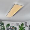 Orain Plafondlamp, Paneel LED Wit, 1-licht
