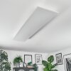 Orain Plafondlamp, Paneel LED Wit, 1-licht