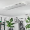 Orain Plafondlamp, Paneel LED Wit, 1-licht