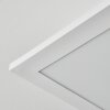 Orain Plafondlamp, Paneel LED Wit, 1-licht