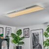Orain Plafondlamp, Paneel LED Wit, 1-licht