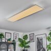 Orain Plafondlamp, Paneel LED Wit, 1-licht