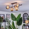 Chehalis Plafondlamp, Kogellampje Zwart, 5-lichts