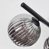 Chehalis Plafondlamp, Kogellampje Zwart, 5-lichts