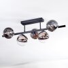 Chehalis Plafondlamp, Kogellampje Zwart, 5-lichts