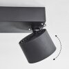 Narel Plafondlamp, Plafondspot LED Zwart, 2-lichts