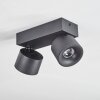 Narel Plafondlamp, Plafondspot LED Zwart, 2-lichts