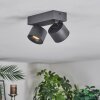 Narel Plafondlamp, Plafondspot LED Zwart, 2-lichts