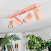Javel Plafondlamp, Plafondspot Roze, Wit, 4-lichts