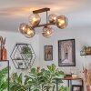 Koyoto Plafondlamp, Kogellampje Duidelijk, Rookkleurig, 6-lichts