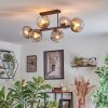 Koyoto Plafondlamp, Kogellampje Duidelijk, Rookkleurig, 6-lichts