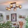 Ripoll Plafondlamp, Kogellampje Amber, Duidelijk, Rookkleurig, 6-lichts